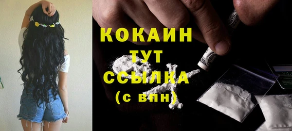 COCAINE Богородицк